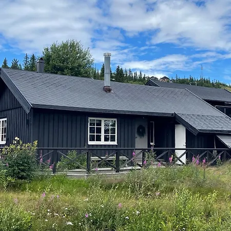 Utibakken - Inn-out Norefjell *